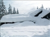SWZ_Winter 2006 2 202